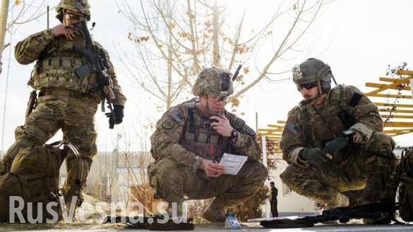 Foreign Policy: Ополченцы Донбасса заставили задуматься армию США | Русская весна