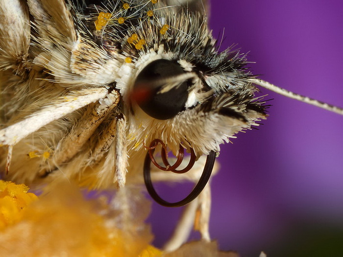 ��������������� John Cogan