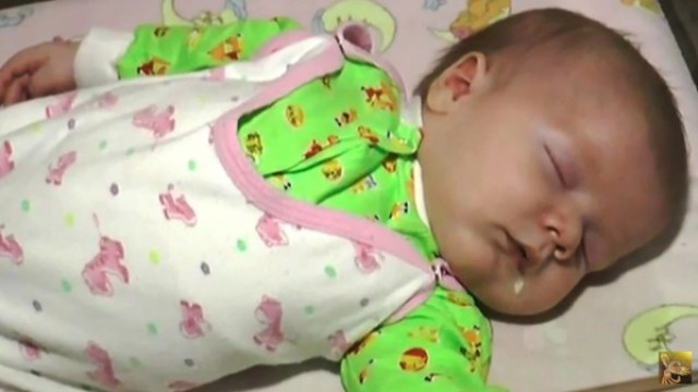 Его бросили в холодный подвал в разгар лютой зимы… Если бы не эта кошка, то он бы просто не выжил! Его бросили в холодный подвал в разгар лютой зимы… Если бы не эта кошка, то он бы просто не выжил!