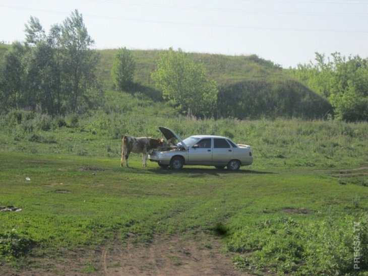 ЭТО РОССИЯ, ДЕТКА+ ЭТО РОССИЯ, ДЕТКА+