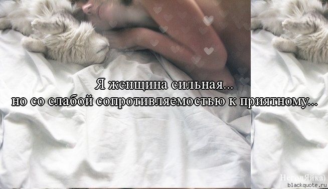 Прикольные цитаты в картинках Прикольные цитаты в картинках