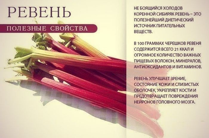  9 самых полезных продуктов для всего организма Полезные, фрукты, ягода