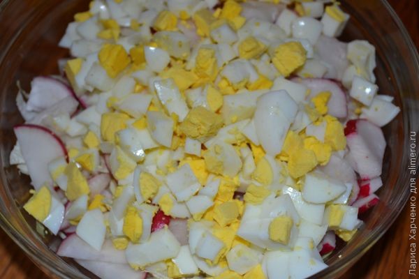 ������ ������ � �������