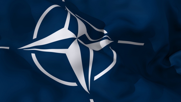 Грушко: в НАТО опасаются, что инцидент с Су-24 может иметь серьезные последствия