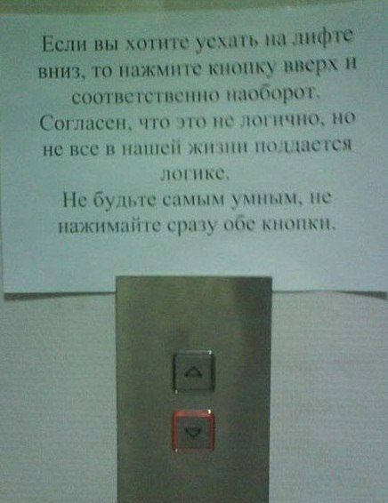 Тут каждый найдет чему улыбнуться