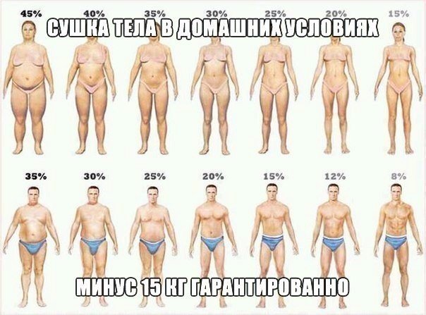 СУШКА ТЕЛА В ДОМАШНИХ УСЛОВИЯХ СУШКА ТЕЛА В ДОМАШНИХ УСЛОВИЯХ
