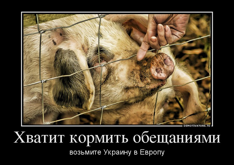 Донецк – надоела!…