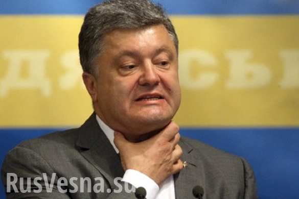Deutsche Welle: Петр Порошенко заявил, что чувствует себя Эрнесто Че Геварой | Русская весна