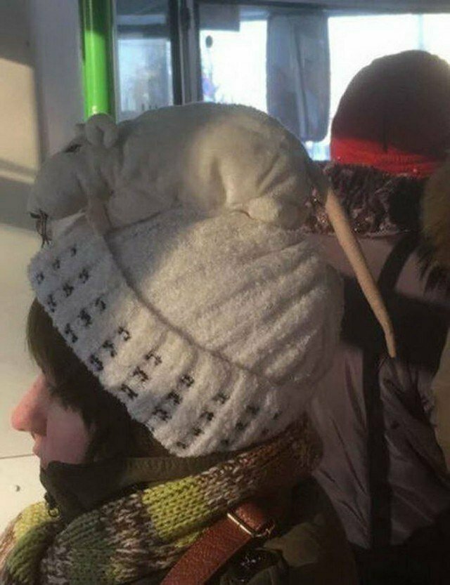 Слишком модные для нашего времени Слишком модные для нашего времени метро, мода, одежда, прикол, стиль, улица, чудики, юмор