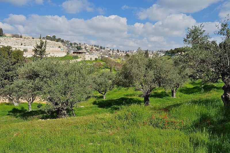 Иерусалим - все немного не так, как виделось издалека иерусалим, путешествие