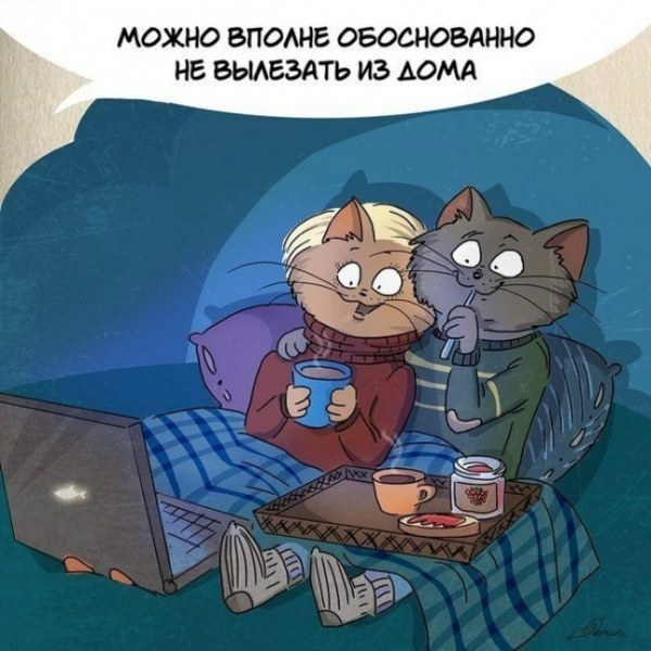 За что следует любить зиму (10 картинок) За что следует любить зиму