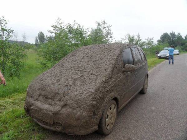 Автоприколы Автоприколы автоприколы, прикол, юмор