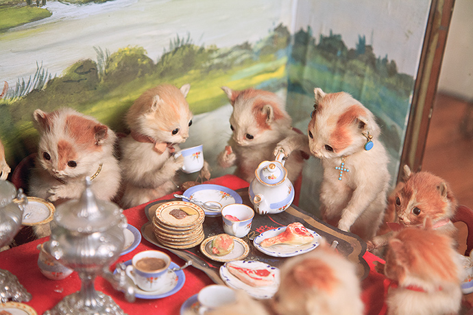 The Kittens’ Tea & Croquet Party