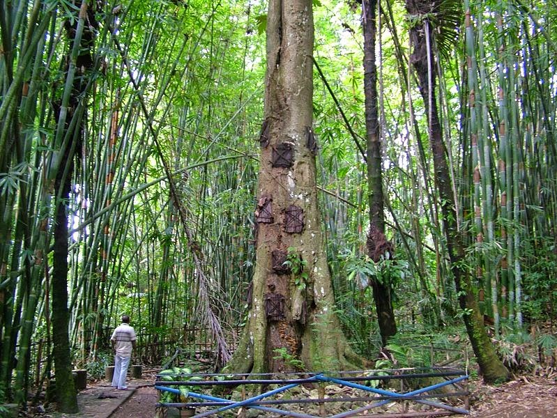 tana-toraja-burials-12[3]