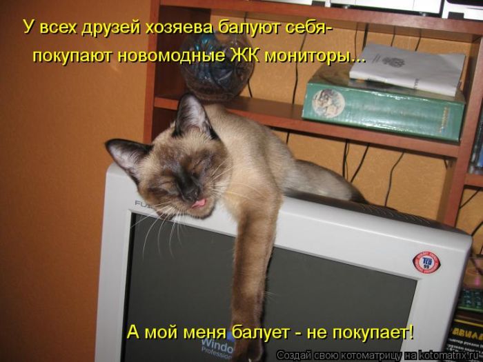 ����������� (49 ����)