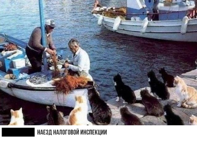 Подборка прикольных фото Подборка прикольных фото