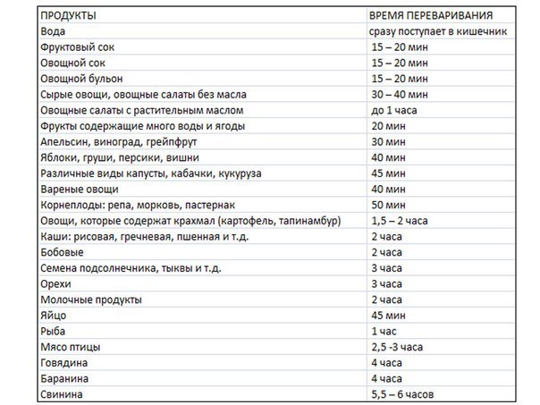 Время переваривания пищи в желудке человека