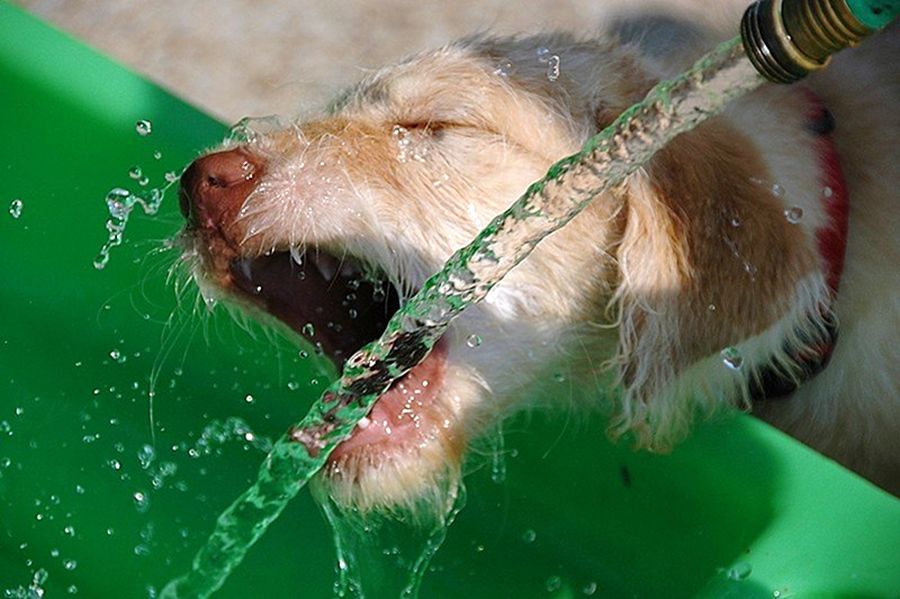 NewPix.ru - ������������ ���������� ��������