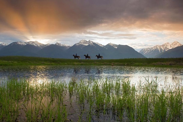 National Geographic выбрал лучшие фото 2015 года