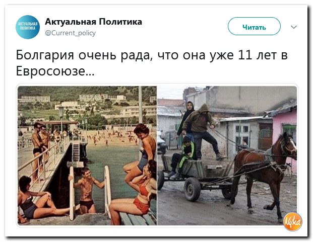 Соцсети жгут! С юмором о злободневном в ехидных скриншотах (политсатира) Соцсети жгут! С юмором о злободневном в ехидных скриншотах (политсатира)