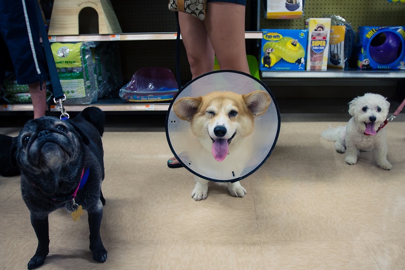 ������ ����� �����-�����. ����