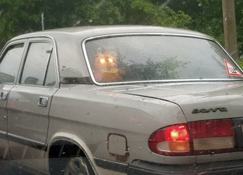 Подборка автомобильных приколов Подборка автомобильных приколов авто, автомобили, автоприкол, автоприколы, подборка, прикол, приколы, юмор