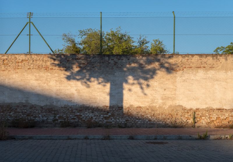 Удачные совпадения на фотографиях Дениса Черима