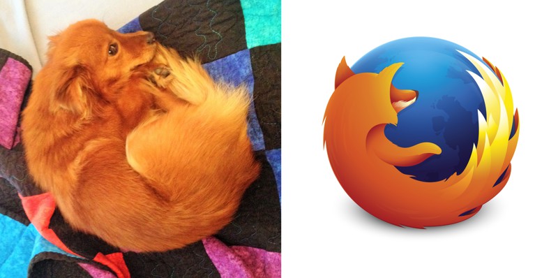 2. Собака и Firefox 2. Собака и Firefox вещи, люди, похожие лица, схожесть