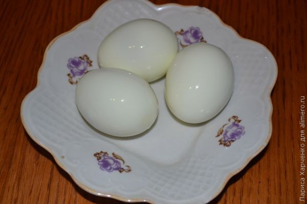 ������ �������