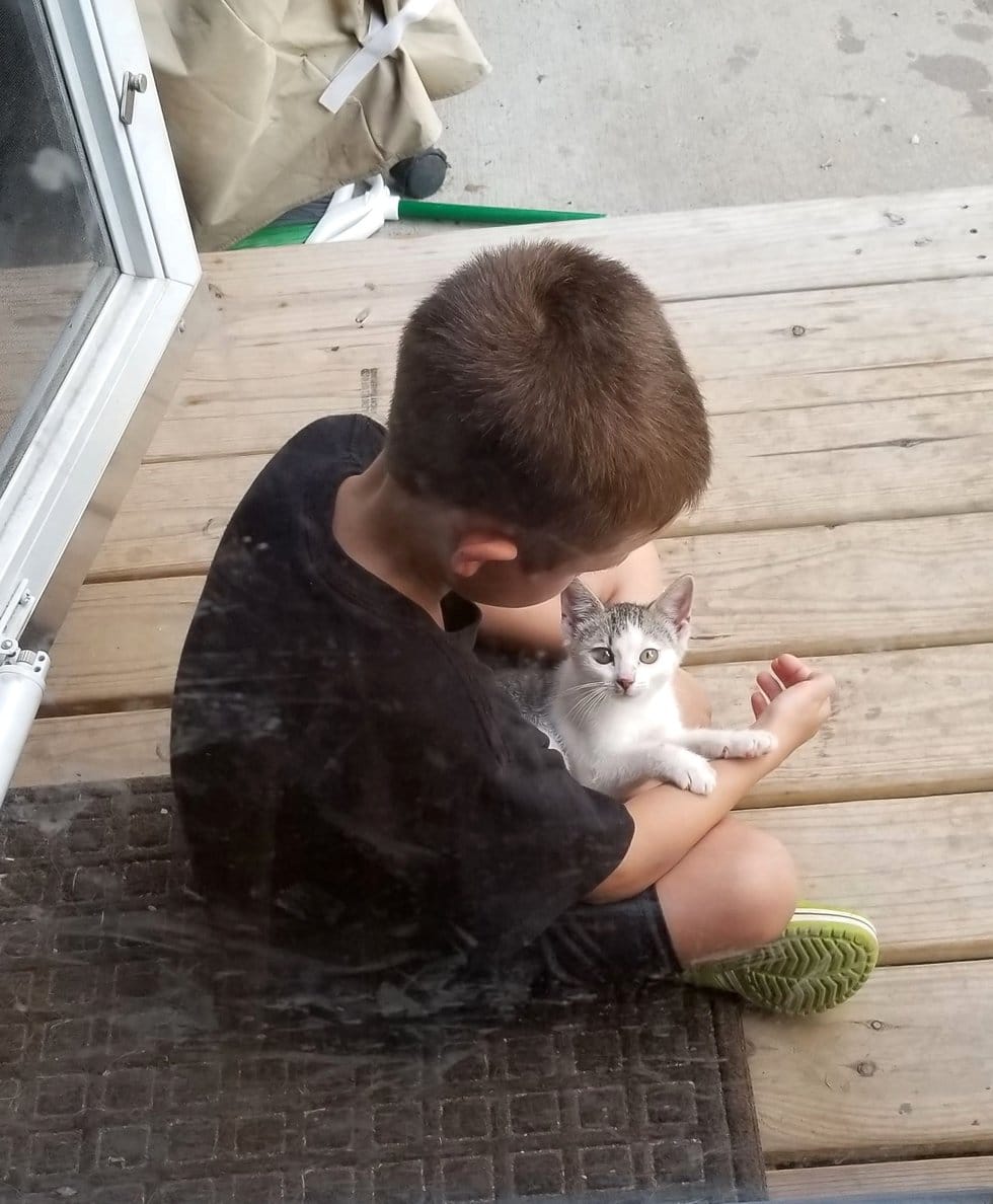 котенок нашел дом мальчик играет с котенком