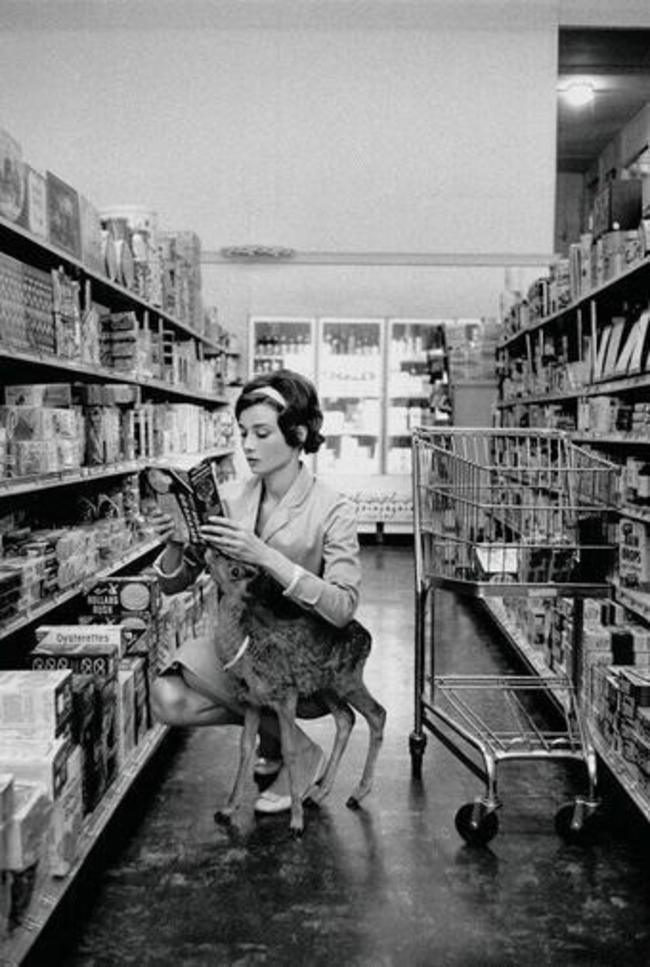 Одри Хепберн гуляет по магазинам с ее домашним олененком в Беверли-Хиллз, 1958 год