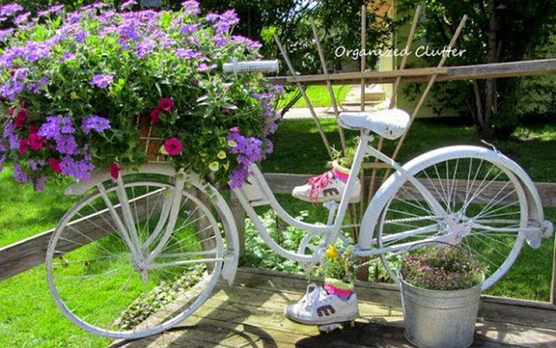 ������� ���� ������������ �������� �������