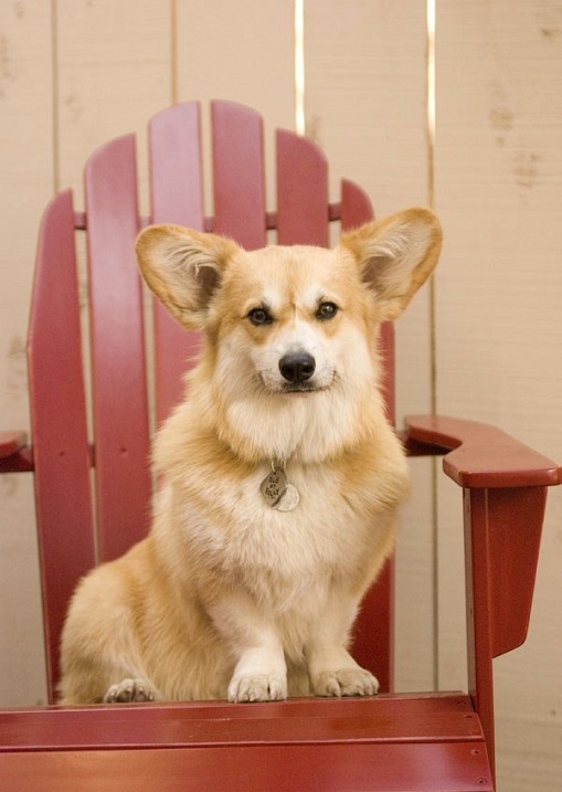 ������ ����� �����-�����. ����