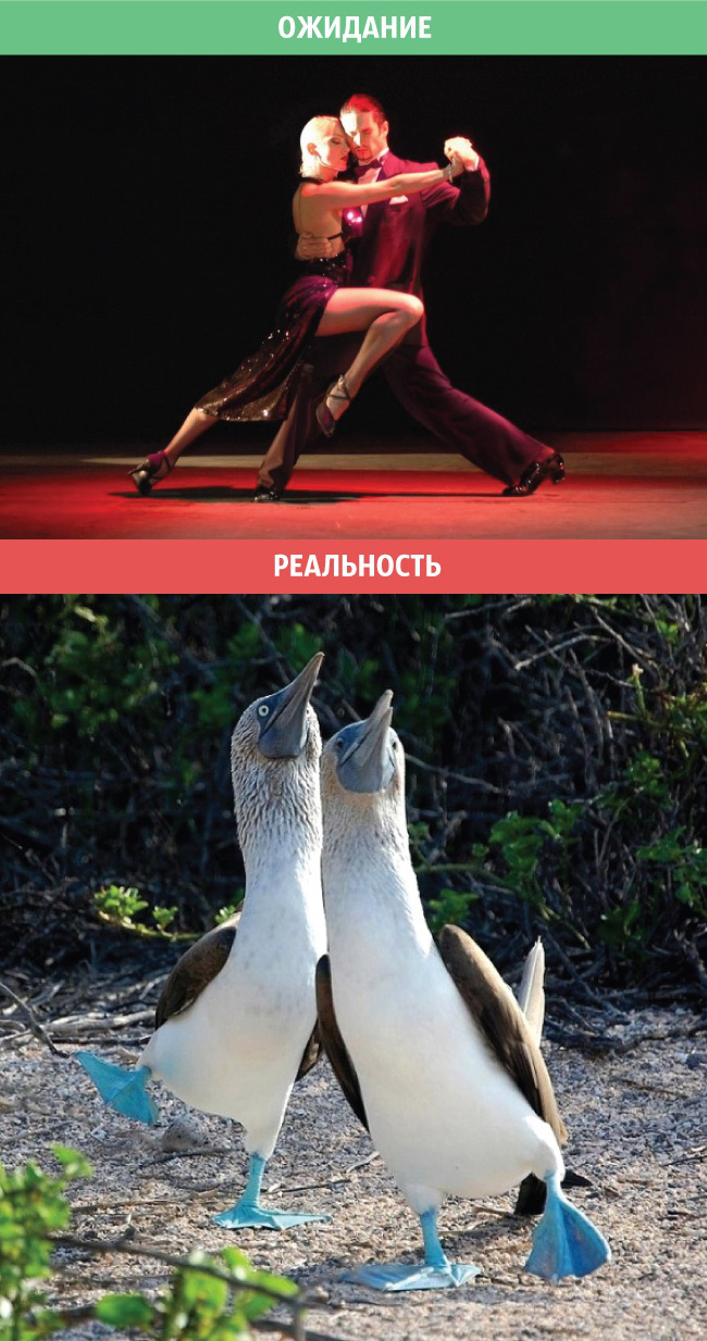 Отношения: Ожидание и реальность