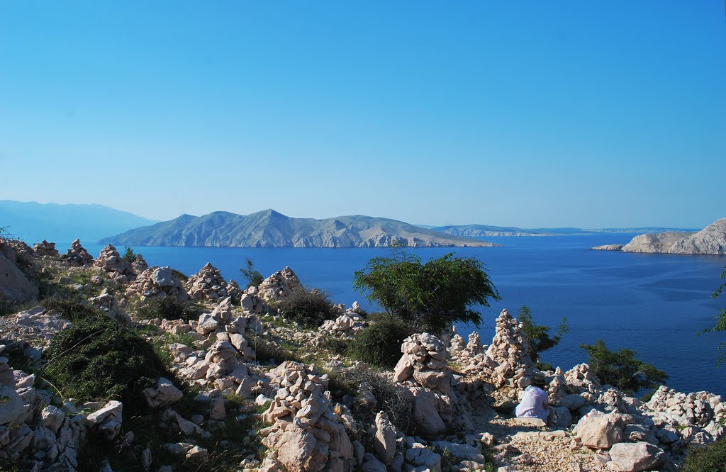 Првич
Хорватия
Этот остров можно найти в Адриатическом море. Размеры Првич не превышают пяти квадратных миль, на которых вольготно расположились несколько видов растений и птиц.