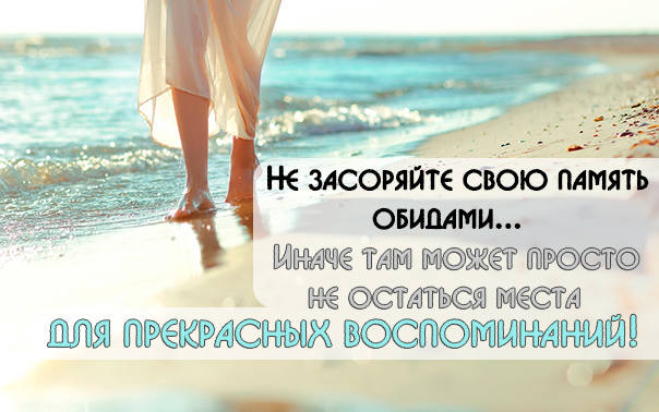 мудрые мысли Мудрые мысли (10 фраз)