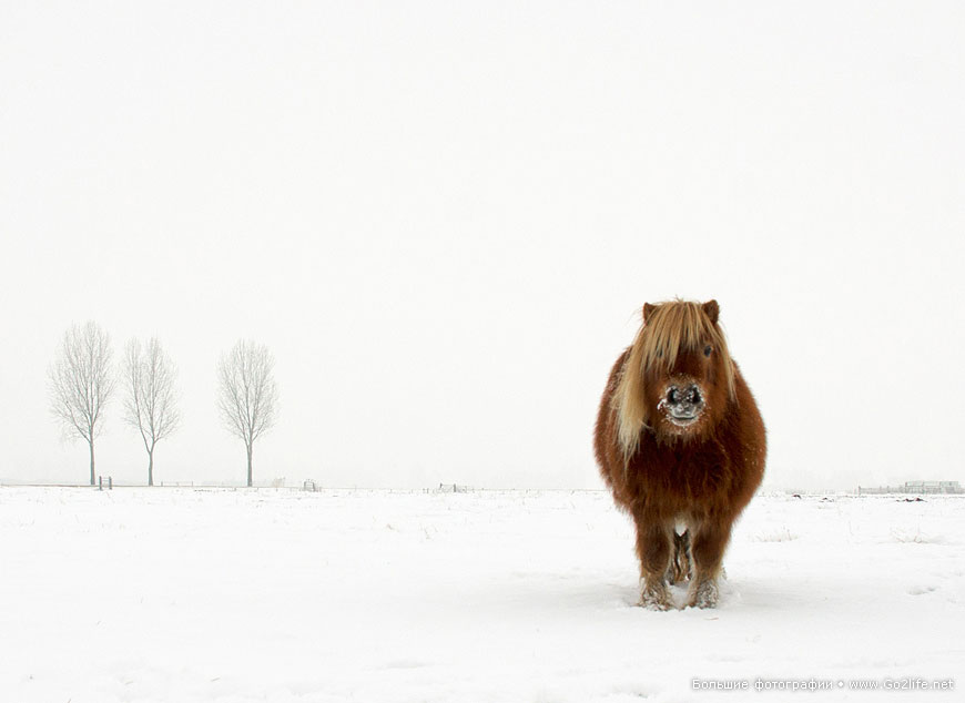 Sony World Photography Awards 2014