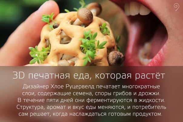 Еда и продукты будущего