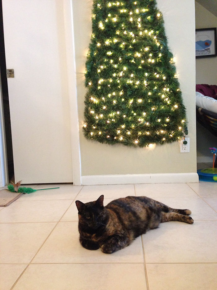 Cat Proof Christmas Tree