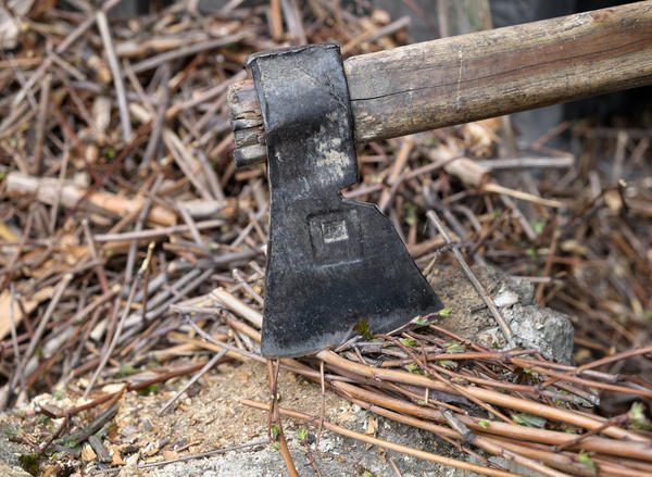 ���������� ��������� ��� ���������� ������