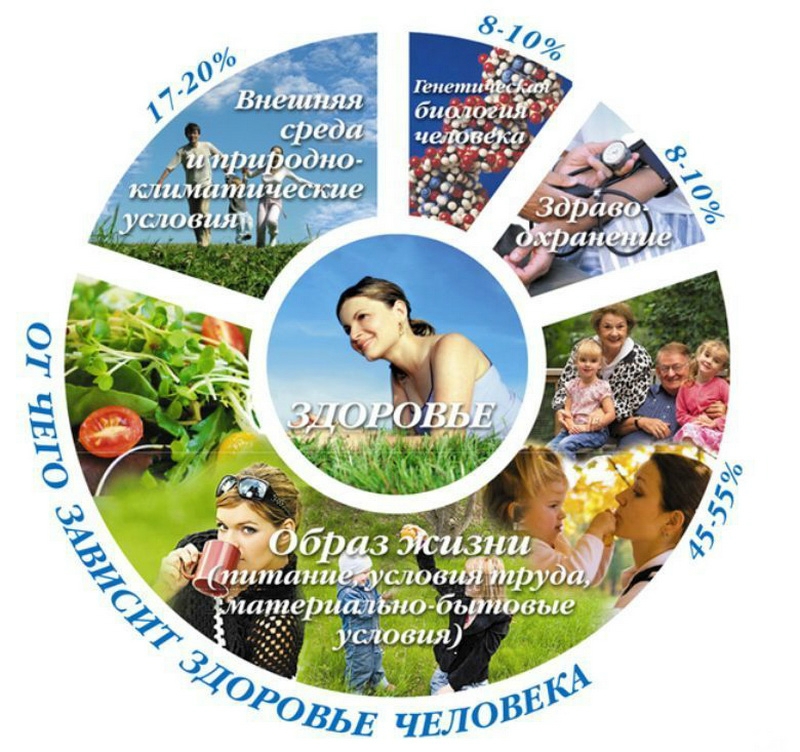 Как из подручных средств и бросового материала Как выбрать оперативную память