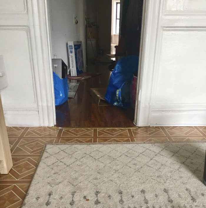 Найди кота