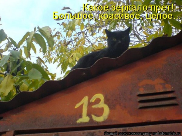 Мысли вслух :)