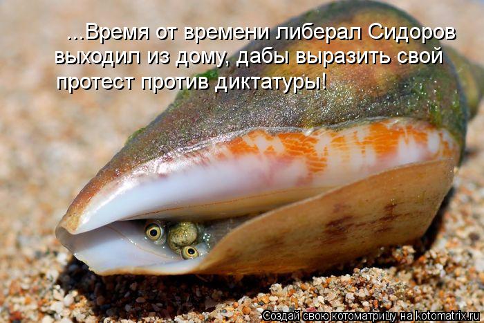 Ура!! Пятница - котоматрица!!! Ура!! Пятница - котоматрица!!!