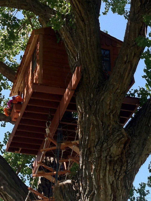 Строительство детского домика на дереве домик, строительство