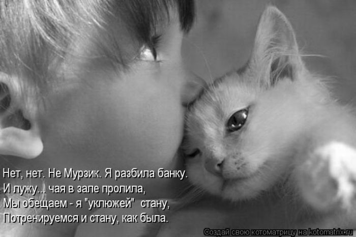 Котоматрицы великолепные, каждая с кусочком тепла, позитива и улыбкой! Котоматрицы великолепные, каждая с кусочком тепла, позитива и улыбкой!