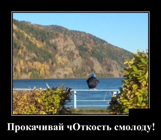Демотиваторы Демотиваторы