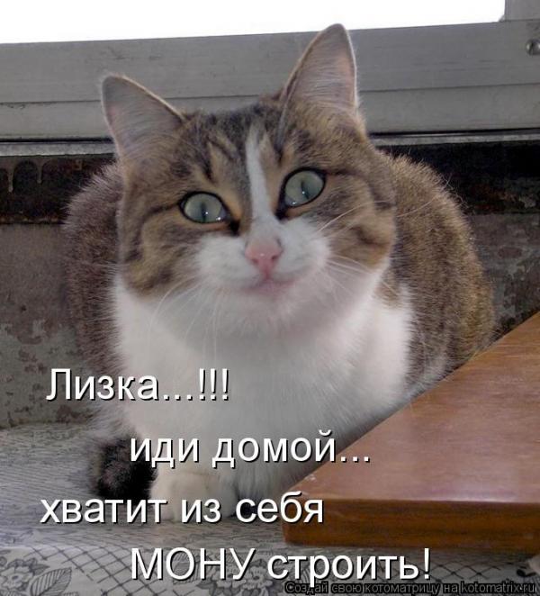 Если хотите поднять себе настроение и посмеяться, вам сюда! Если хотите поднять себе настроение и посмеяться, вам сюда!