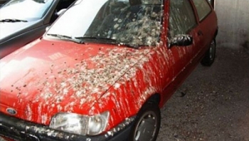 http://carmp3.com.ua/uploads/0625234029.jpg
