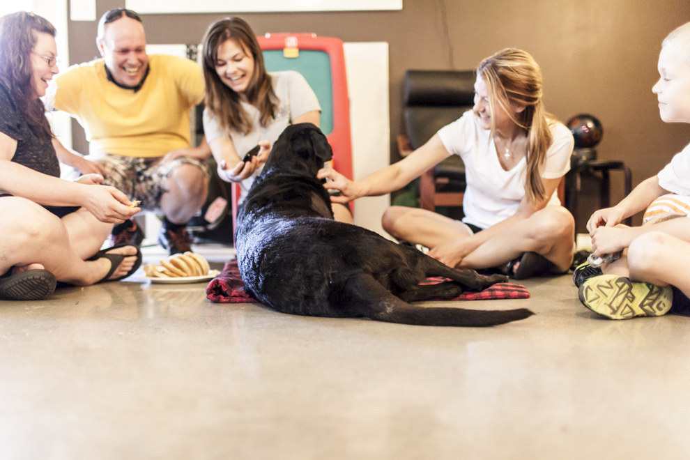 Последний день в жизни этой собаки учит нас жить каждый день так, будто он последний.